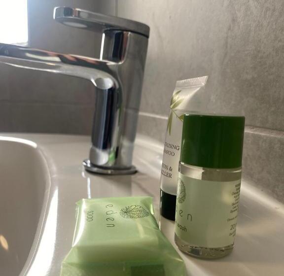 豪华房间, Lady Hamilton Inn