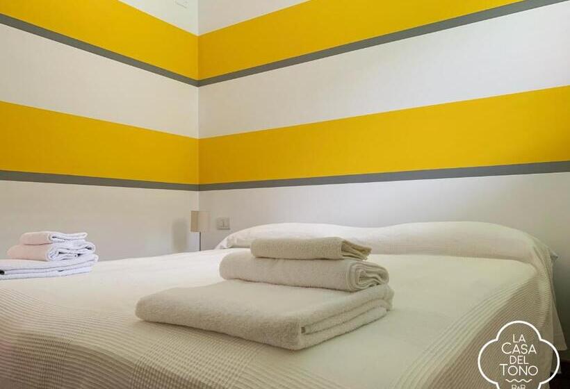 スタンダードルーム, La Casa Del Tono
