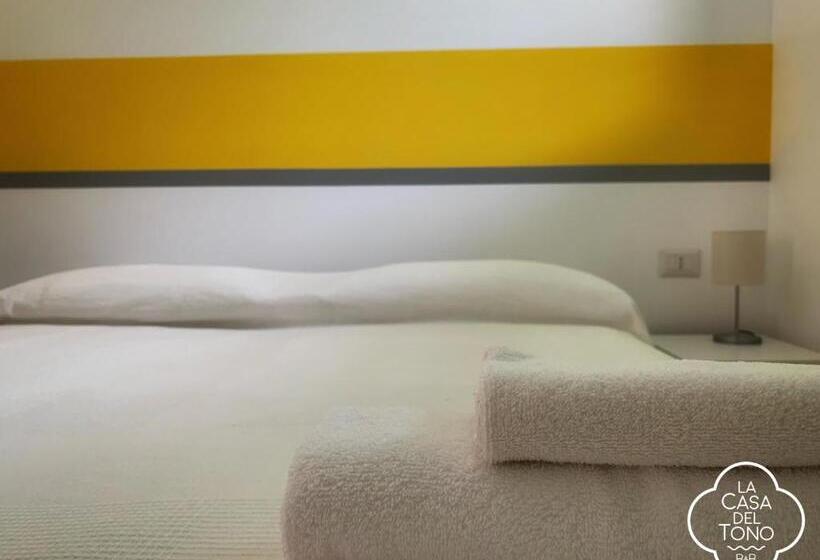 スタンダードルーム, La Casa Del Tono