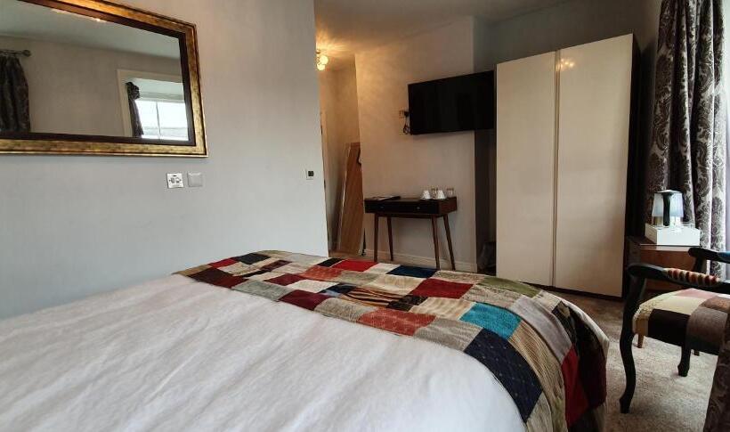 带大床的豪华间, The Bronze Pig