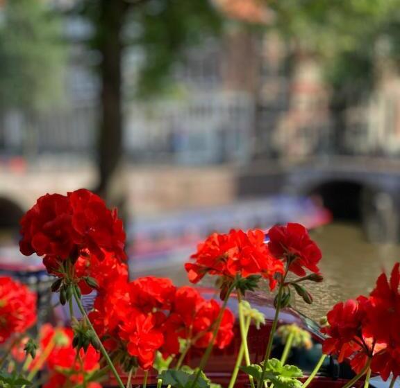 سوئیت جونیور با چشمانداز, Keizershouse Amsterdam