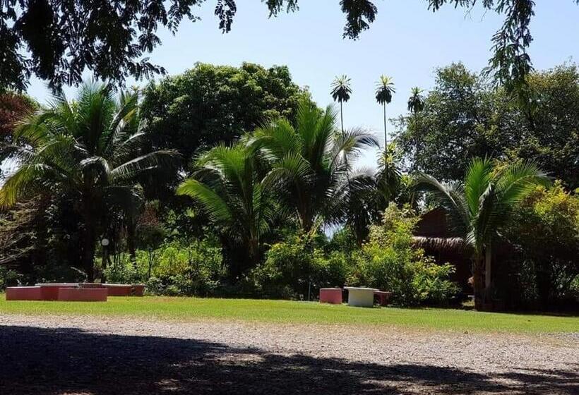 غرفة قياسية مطلّة علي الحديقة, Blue Mountain Resort