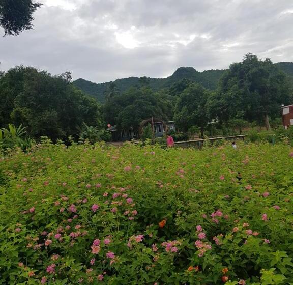 חדר לארבעה סטנדרטי עם נוף לגינה, Blue Mountain Resort