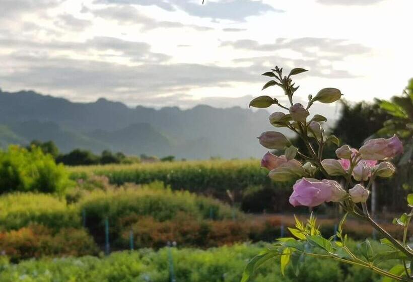 غرفة قياسية رباعية مطلة على الحديقة, Blue Mountain Resort