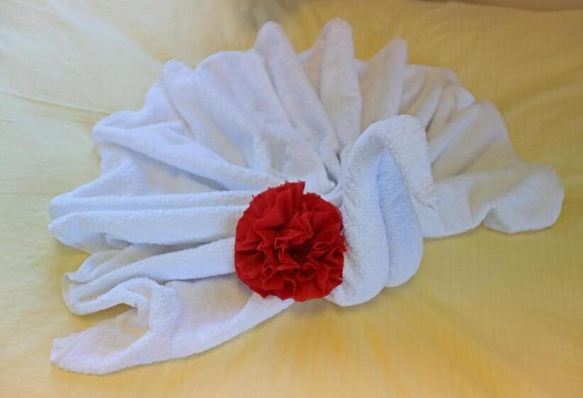 스탠다드 룸, Business & City