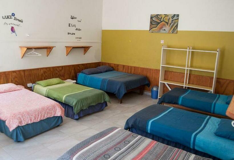 اتاق خانوادگی, Element Riders Place Backpackers
