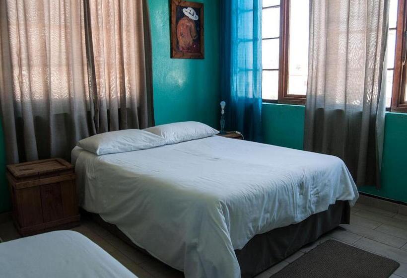 اتاق کلاسیک سه تخته, Element Riders Place Backpackers