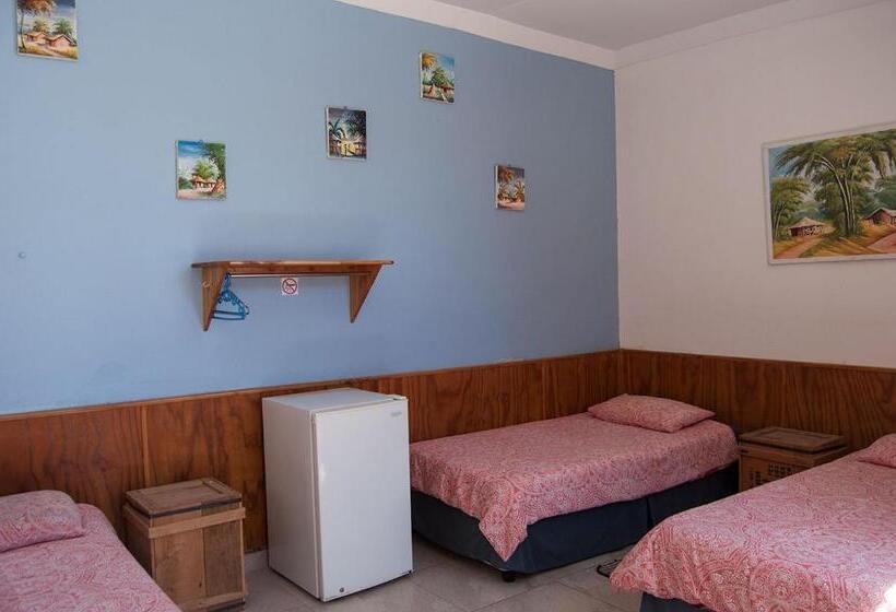 اتاق استاندارد سه تخته با سرویس بهداشتی مشترک, Element Riders Place Backpackers