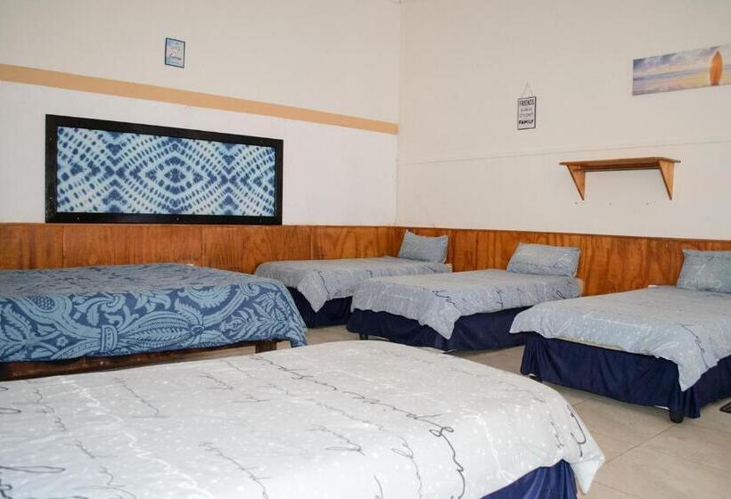 تختخواب در اتاق مشترک, Element Riders Place Backpackers