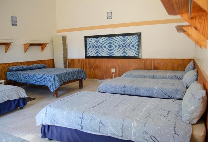 اتاق خانوادگی, Element Riders Place Backpackers