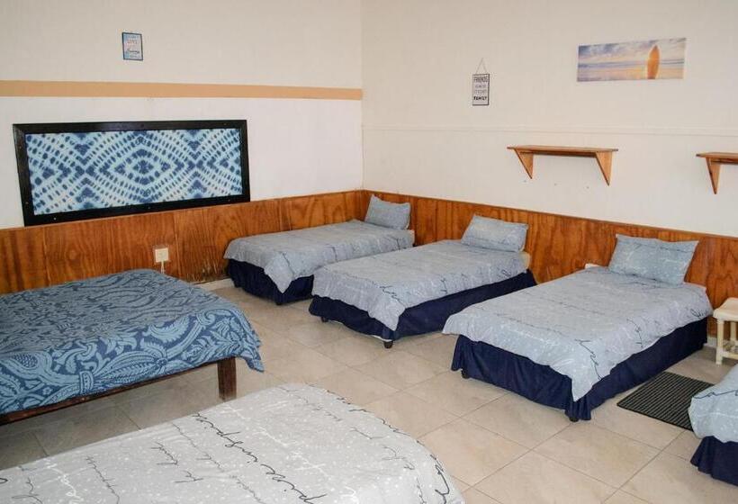 اتاق خانوادگی, Element Riders Place Backpackers