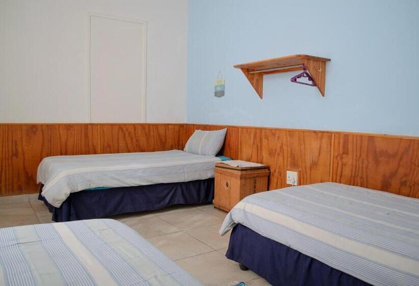 اتاق استاندارد سه تخته با سرویس بهداشتی مشترک, Element Riders Place Backpackers