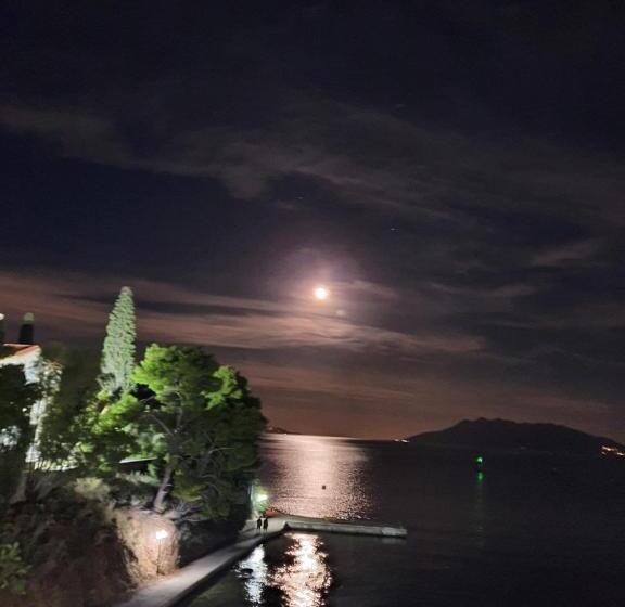 Четырехместный Номер Стандарт Вид на Море, Mike