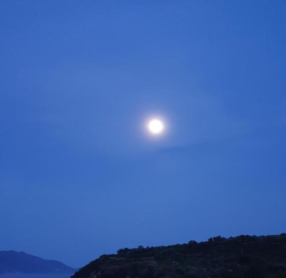 Апартаменты 1 Спальня Вид на Море, Mike