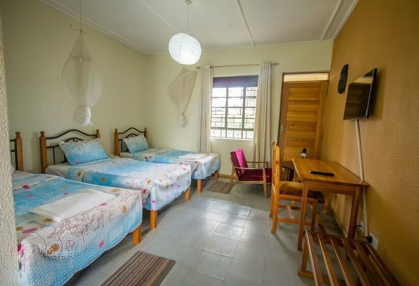 اتاق استاندارد, Kisoro Tourist