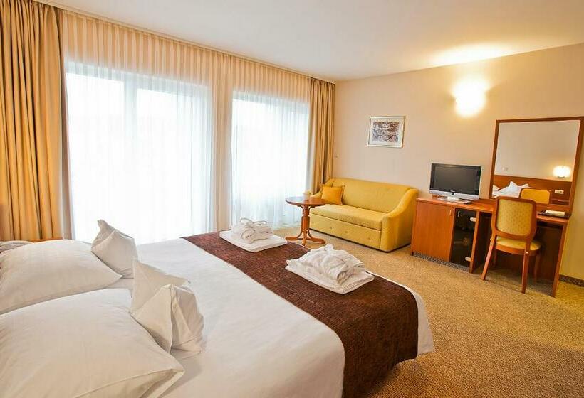 Номер Стандарт, Spa & Wellness Hotel Pinia