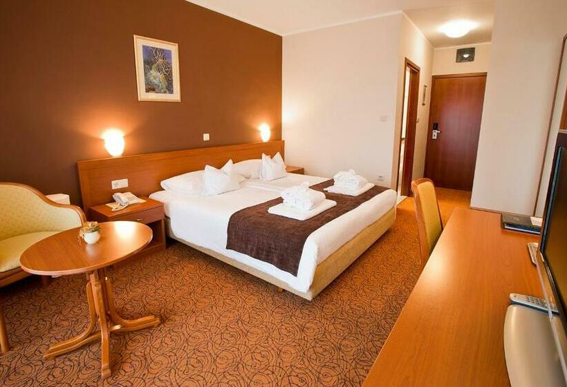 Номер Стандарт, Spa & Wellness Hotel Pinia