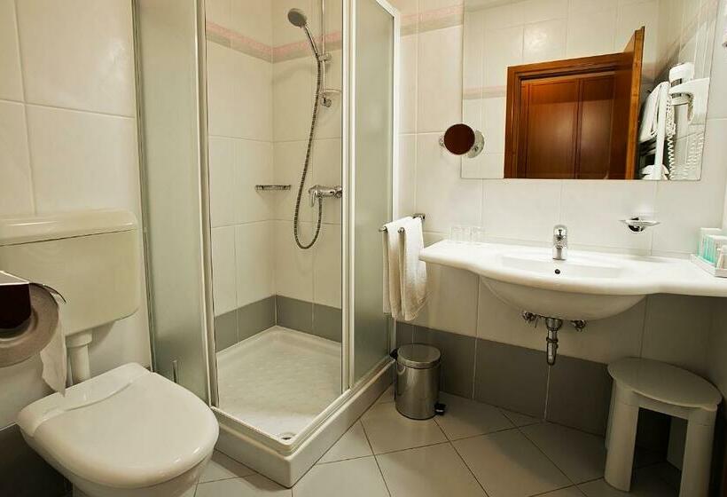 Номер Стандарт, Spa & Wellness Hotel Pinia