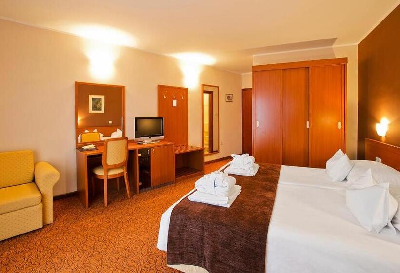 Номер Стандарт с Балконом, Spa & Wellness Hotel Pinia