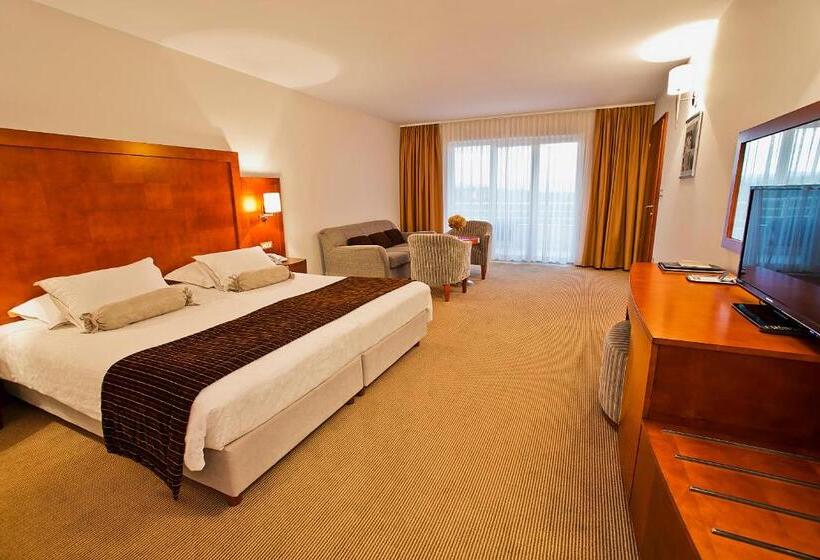 Номер Deluxe с Балконом, Spa & Wellness Hotel Pinia