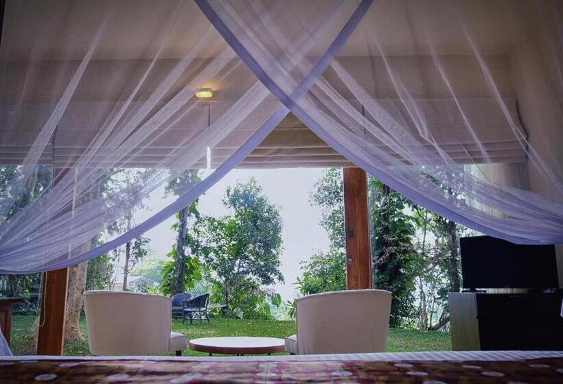 Juniorsvit, Kings Pavilion Luxury