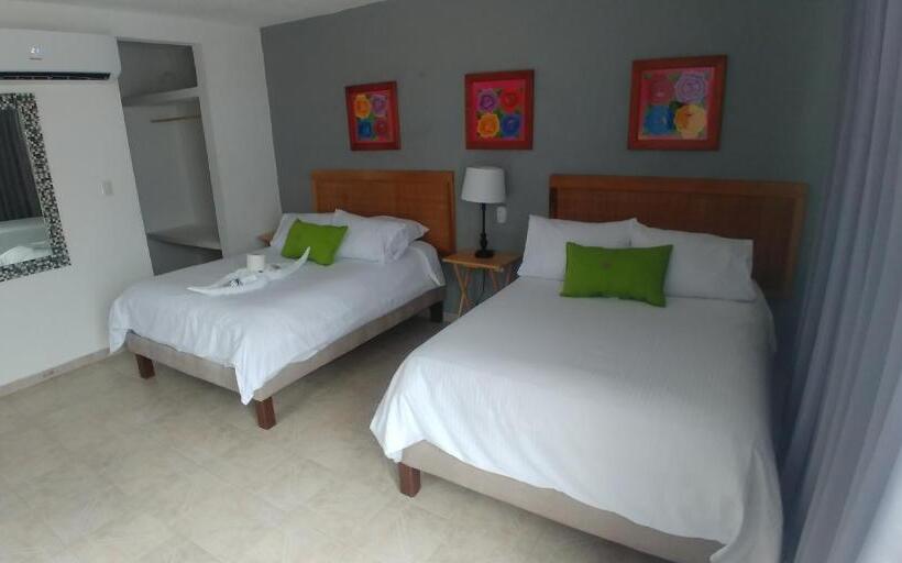 豪华工作室, San Vicente