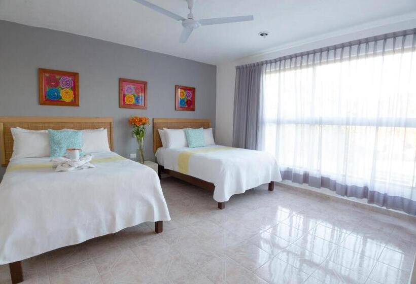 豪华工作室, San Vicente