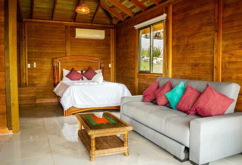 ファミリールーム, Winika Alterra