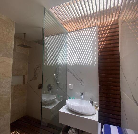 סטודיו דלוקס, Lindo Ajijic Bed & Breakfast