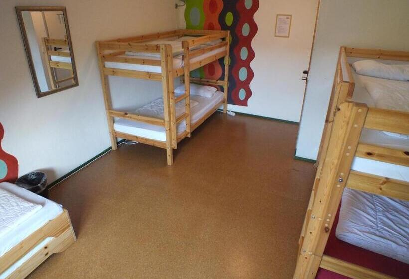 سرير فى غرفة مشتركه, Max Hostel