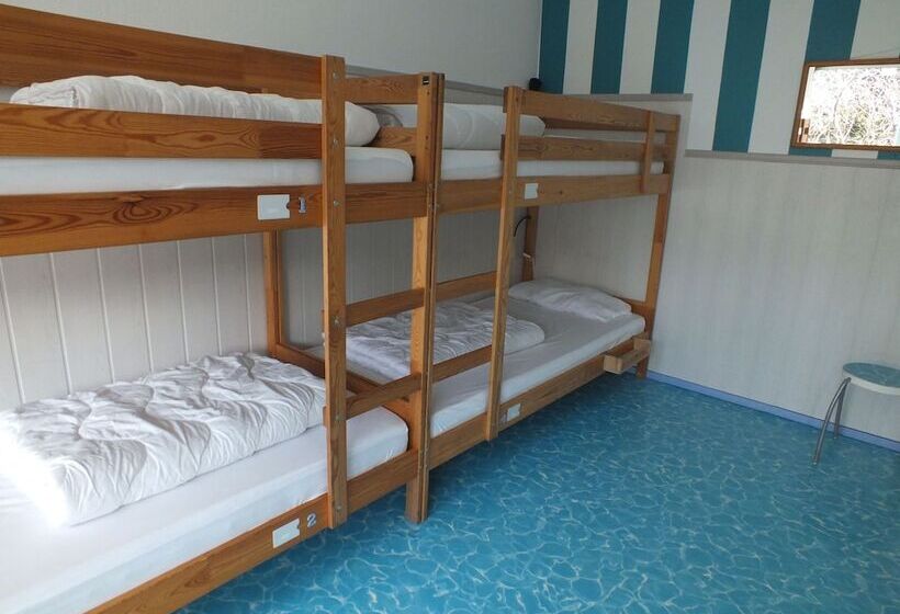 سرير فى غرفة مشتركه, Max Hostel