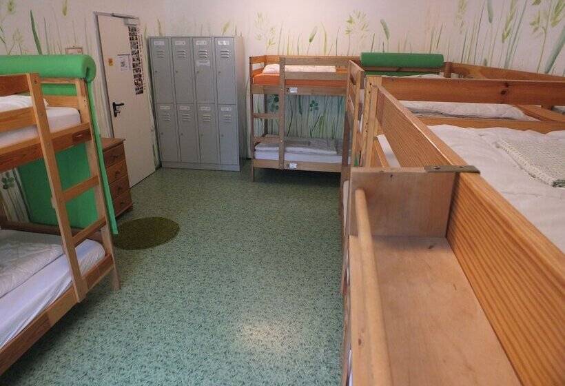 سرير فى غرفة مشتركه, Max Hostel