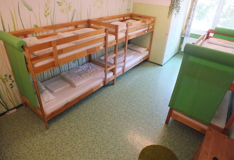 سرير فى غرفة مشتركه, Max Hostel