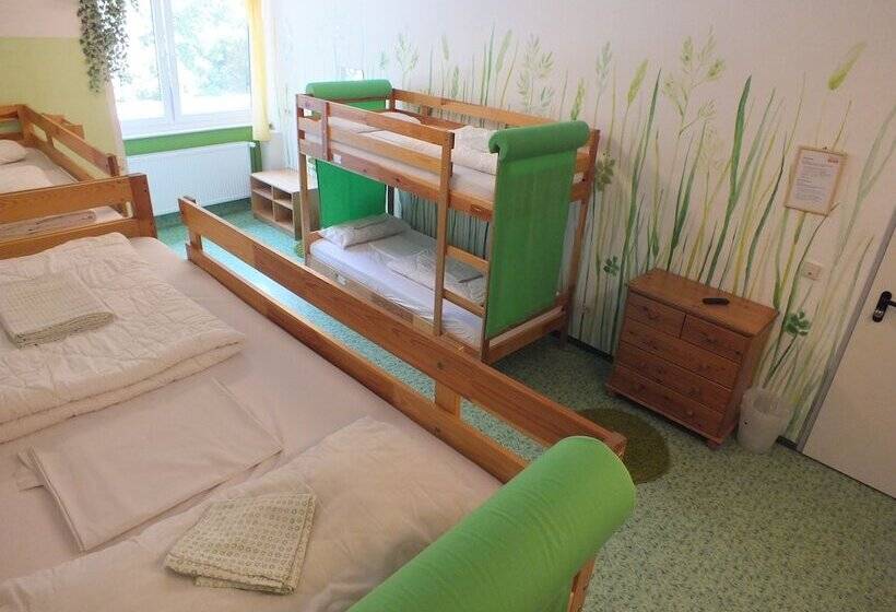 Кровать в Общей Комнате, Max Hostel