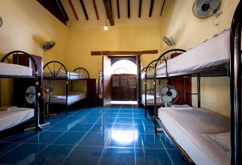 ルームシェアのワンベッド, Poco A Poco Hostel