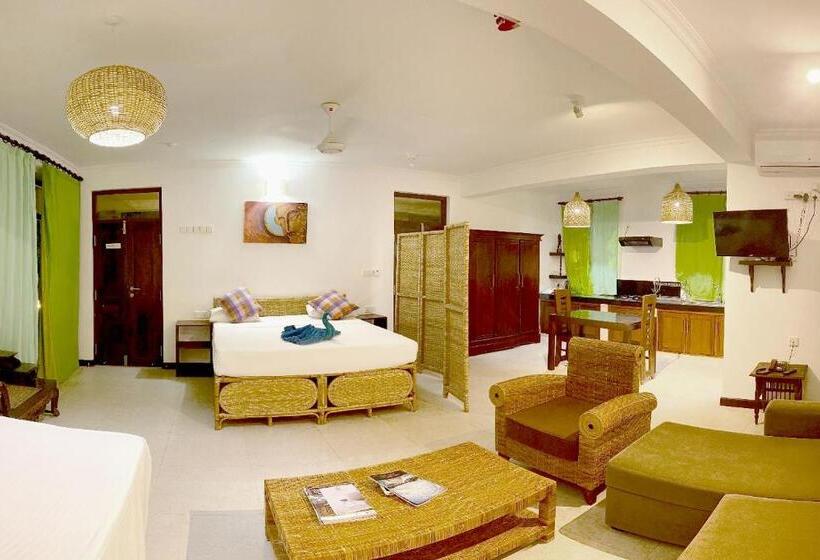 ファミリーステューディオ, Dream Garden