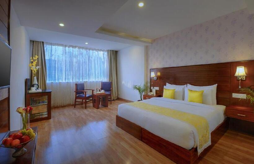 エクゼクティブルーム, Treehouse Chail Villas
