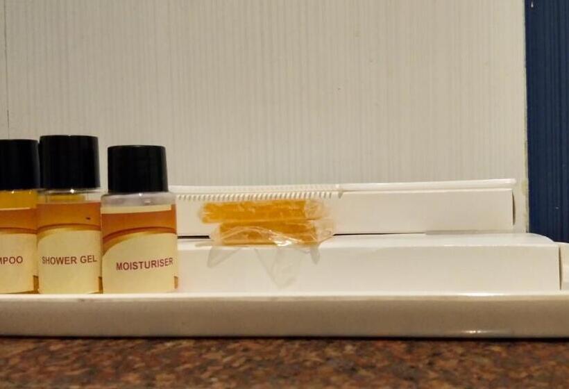 اتاق اکونومی, Dwivedi Hotels Hotel Elena