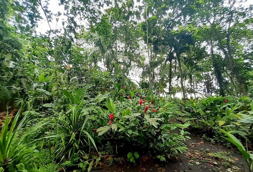 经济型三人房间, Lapalapa Beachfront