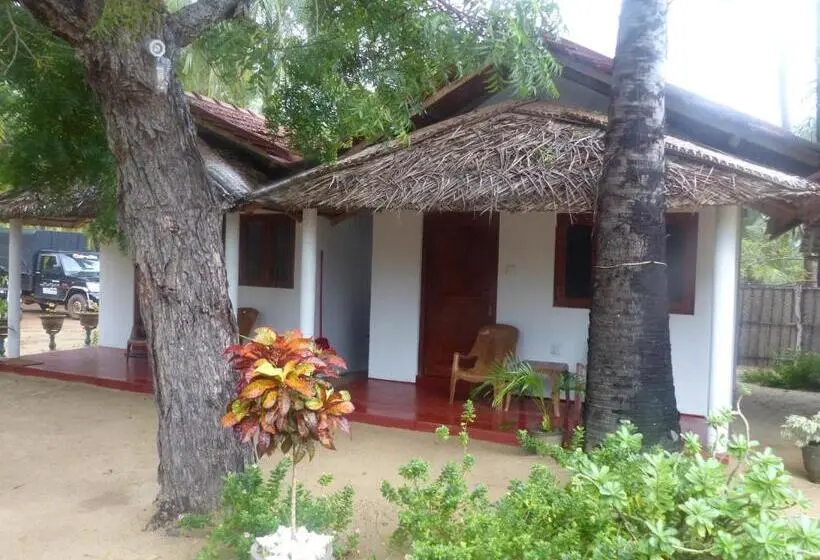 Perhejuniorsviitti, Ocean View Beach Resort   Kalpitiya