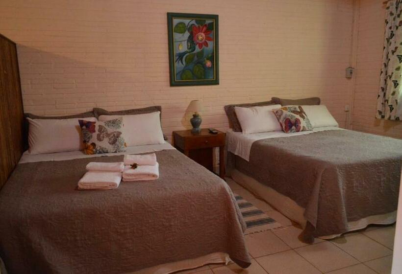 غرفة ديلوكس, Oasis Bed And Breakfast