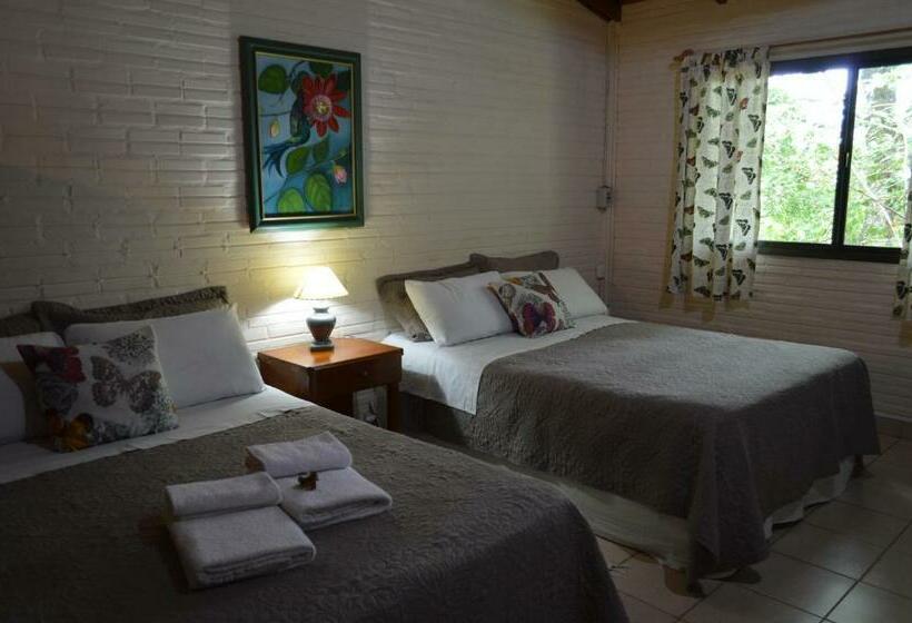 اتاق لوکس, Oasis Bed And Breakfast