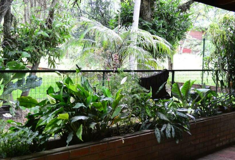 اتاق لوکس, Oasis Bed And Breakfast