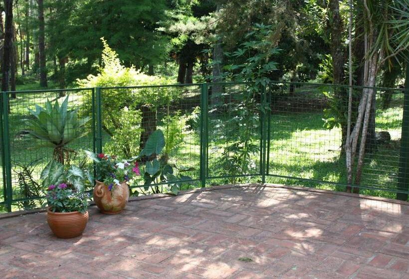 اتاق لوکس, Oasis Bed And Breakfast