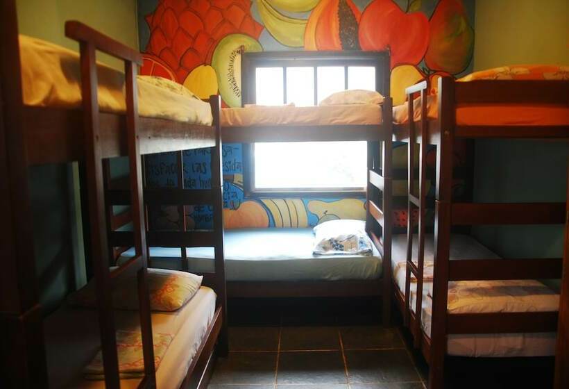 Кровать в Общей Комнате, Samblumba Hostel Trindade