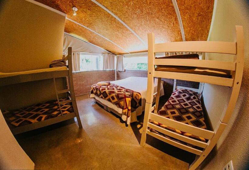 חדר משפחתי, Sítio Crescer