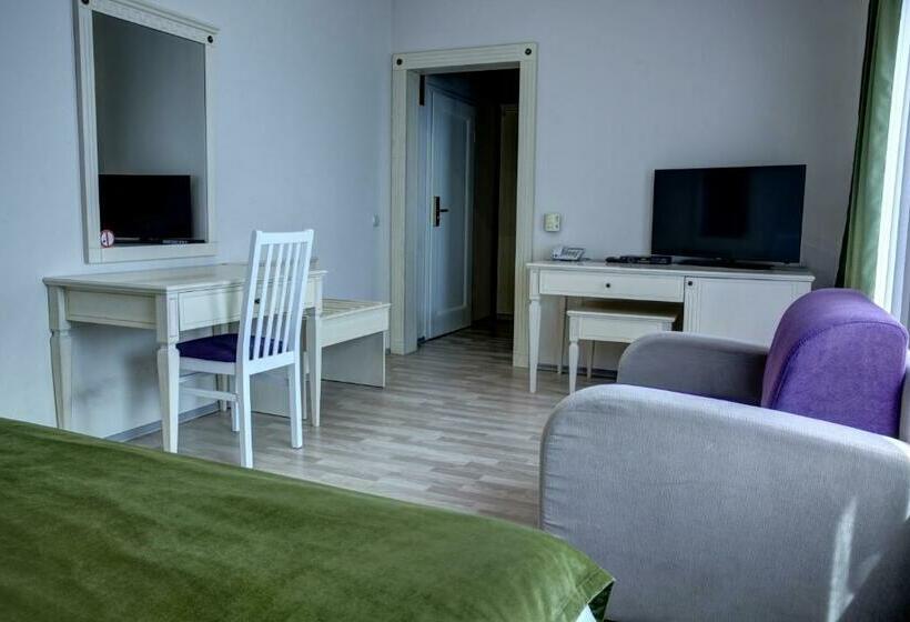 Standard Room, Gorenje