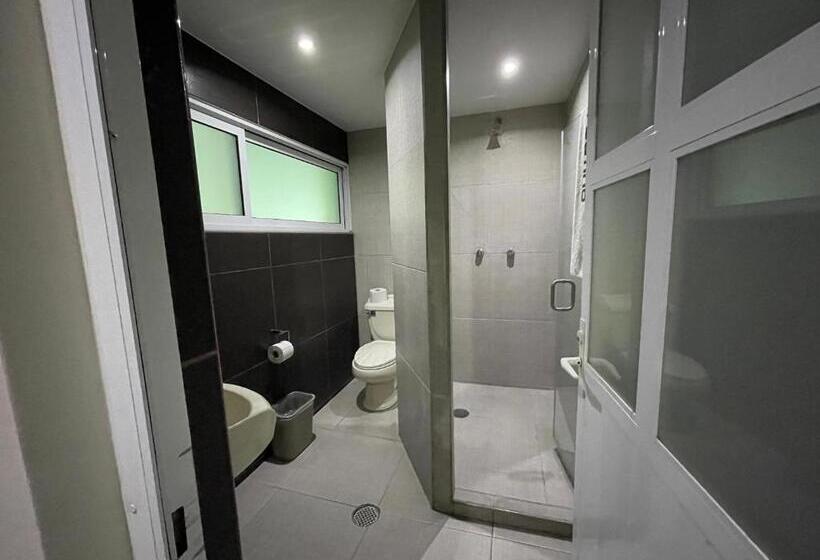 스탠다드 룸, Latino