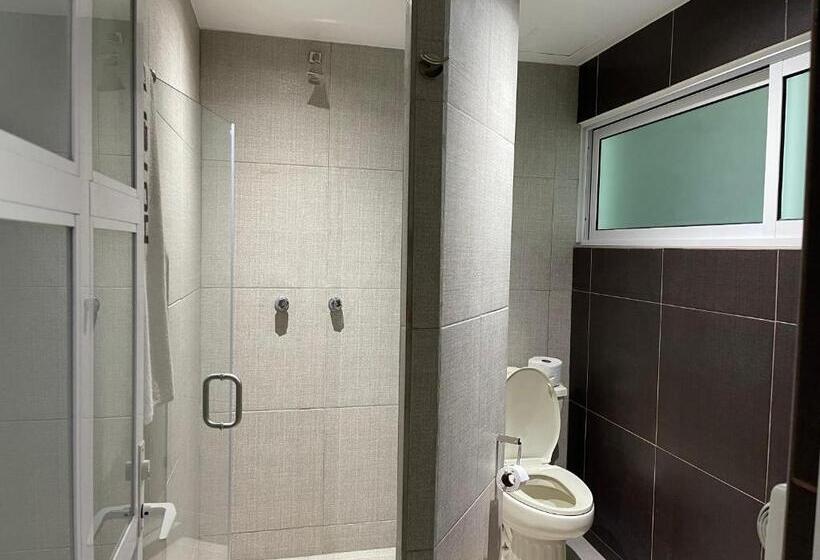 스탠다드 룸, Latino