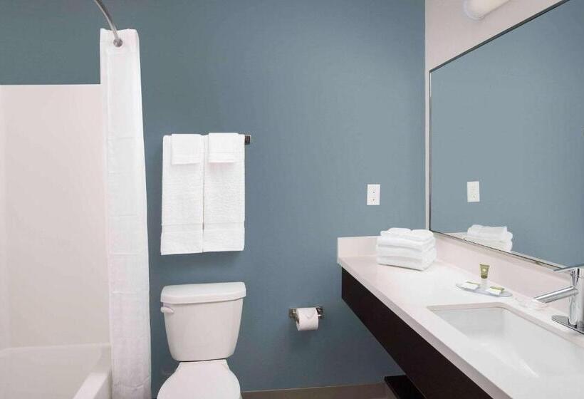 חדר סטנדרט, Woodspring Suites Austin South Central I 35